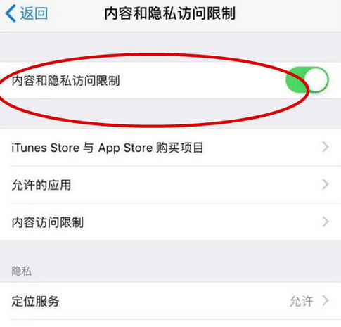 苹果 iPhone15 Pro如何设置应用加密