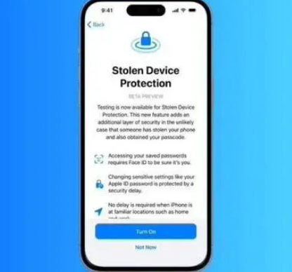 南丰镇苹果授权维修店分享被盗设备保护功能开启方法 