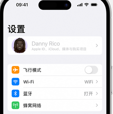 南丰镇appleID维修服务iPhone设置中Apple ID显示为灰色无法使用 