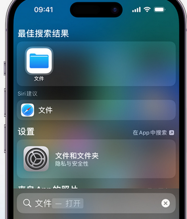 南丰镇apple维修中心分享iPhone文件应用中存储和找到下载文件 