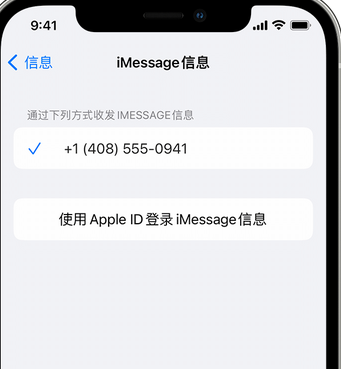 南丰镇apple维修iPhone上无法正常发送iMessage信息 