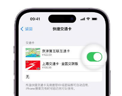 南丰镇apple维修点分享iPhone上更换Apple Pay快捷交通卡手绘卡面 