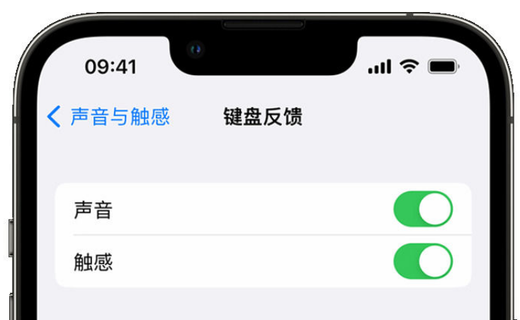 南丰镇苹果手机维修分享iPhone 14触感键盘使用方法 