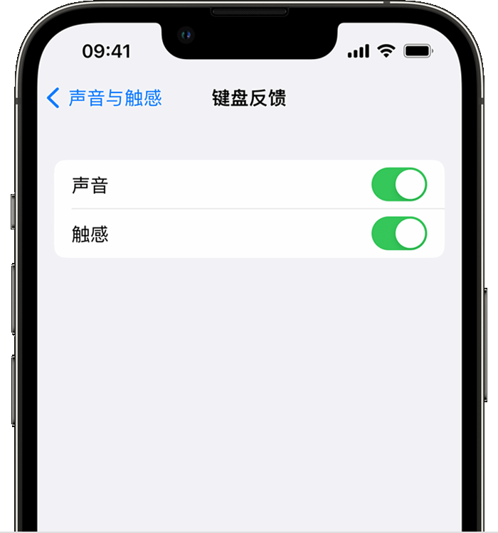 南丰镇苹果14维修店分享如何在 iPhone 14 机型中使用触感键盘 