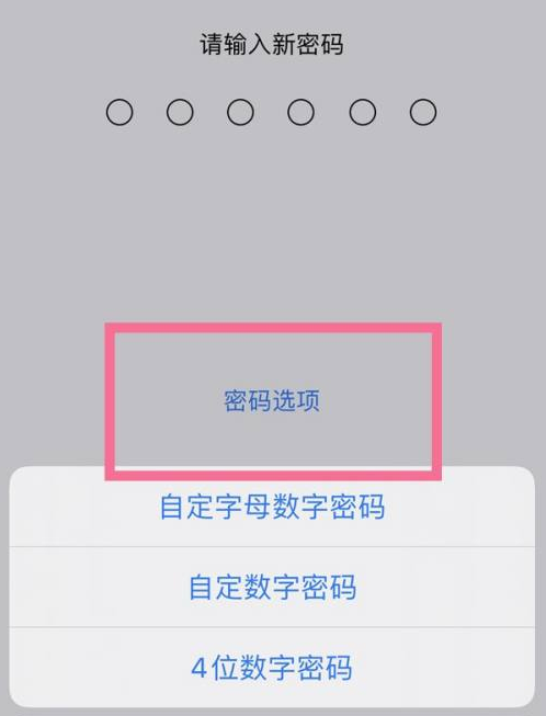 南丰镇苹果14维修分享iPhone 14plus设置密码的方法 