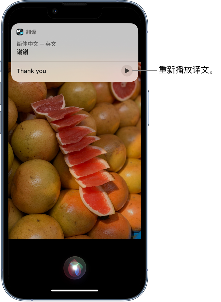 南丰镇苹果14维修分享 iPhone 14 机型中使用 Siri：了解 Siri 能帮你做什么 