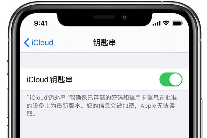 南丰镇苹果手机维修分享在 iPhone 上开启 iCloud 钥匙串之后会储存哪些信息 