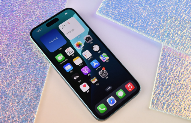 南丰镇苹果手机维修分享为什么大家不喜欢苹果iPhone 16 Plus 